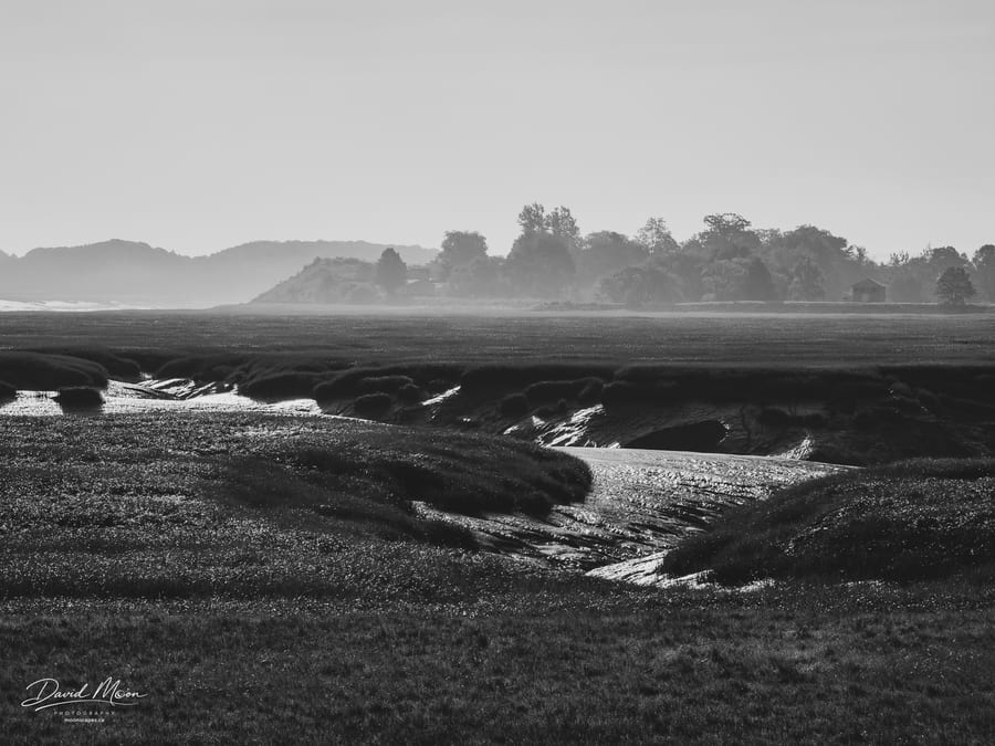 Morning Mist over the Tidal Marsh