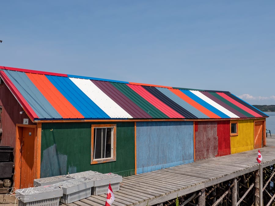 Colours of Brier Island