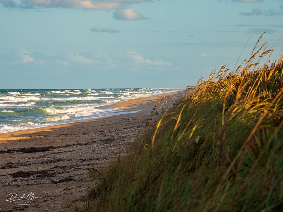 Canaveral National Seashore