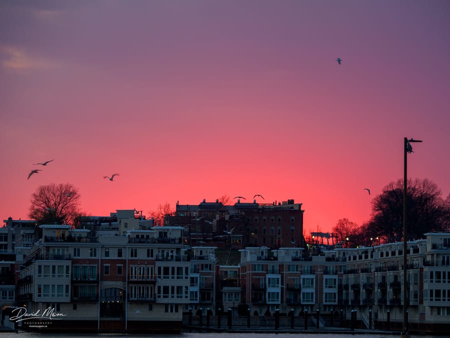 Harbor Tower at Sunset