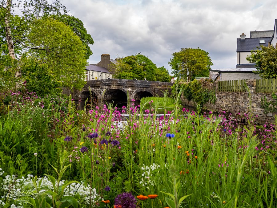 Wildflowers by the Stone Bridge