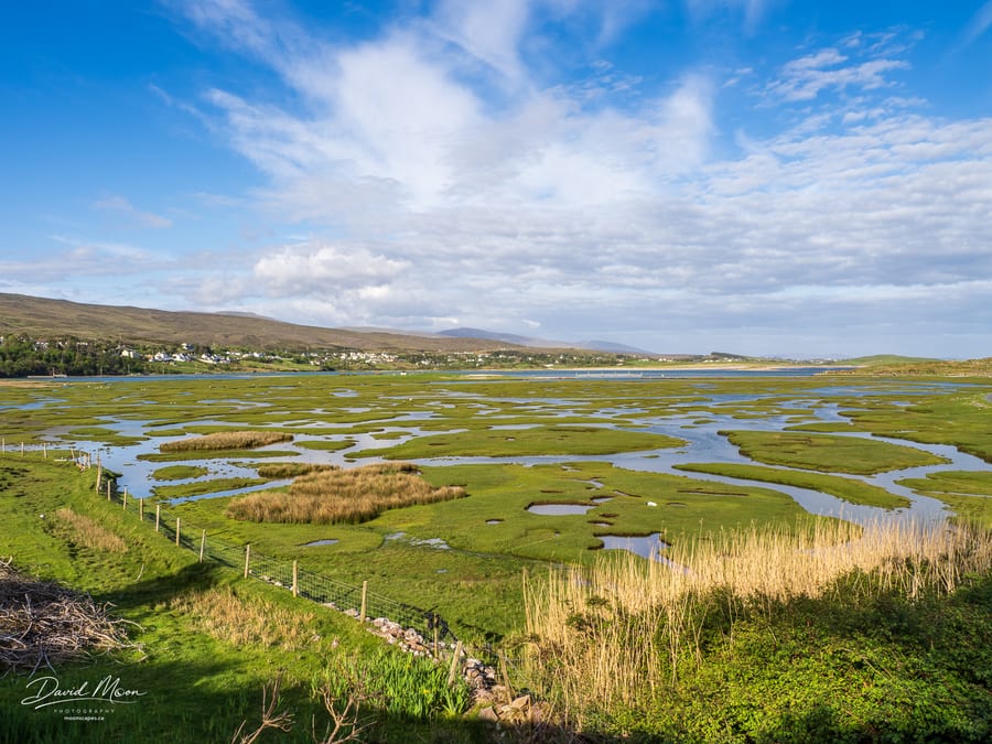 Tidal Marsh on Achill Island
