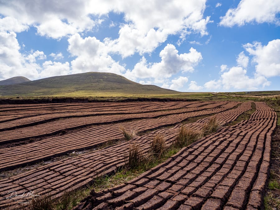 Turf Drying on the Bog