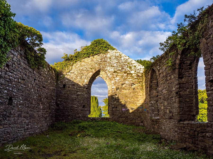 Sunlight in the Abbey Ruins