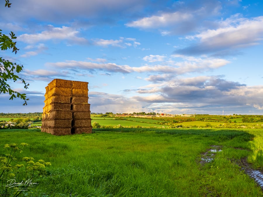 Turf Stacks in the Evening Light