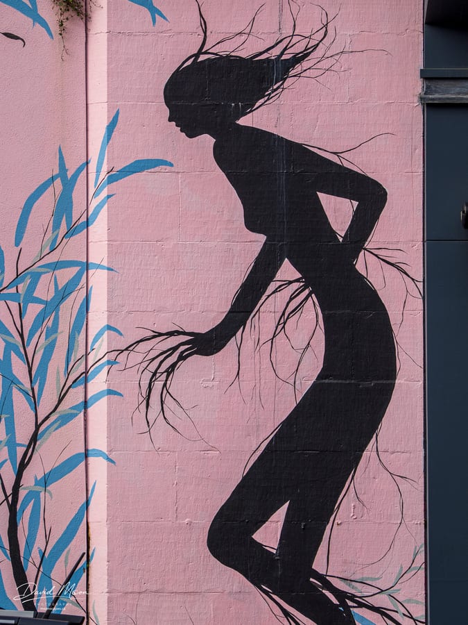 Rooted in Pink
