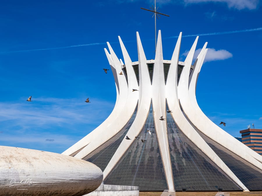 Cathedral of Brasília with Birds