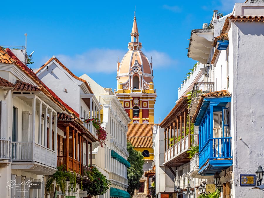 Cartagena Cathedral Above the Rooftops