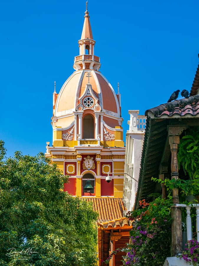 Cartagena Cathedral View