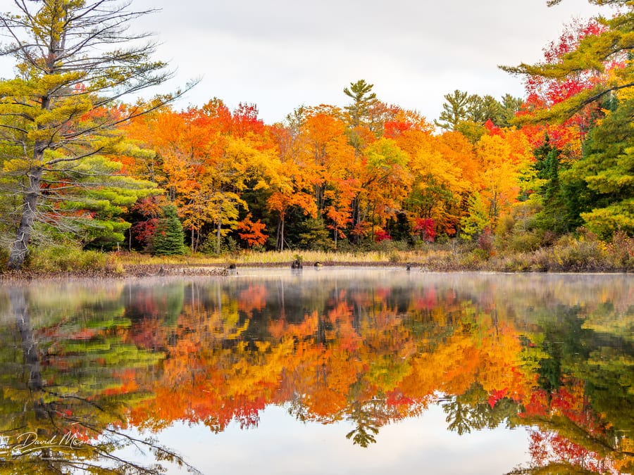 Ontario Fall Colours October 2022