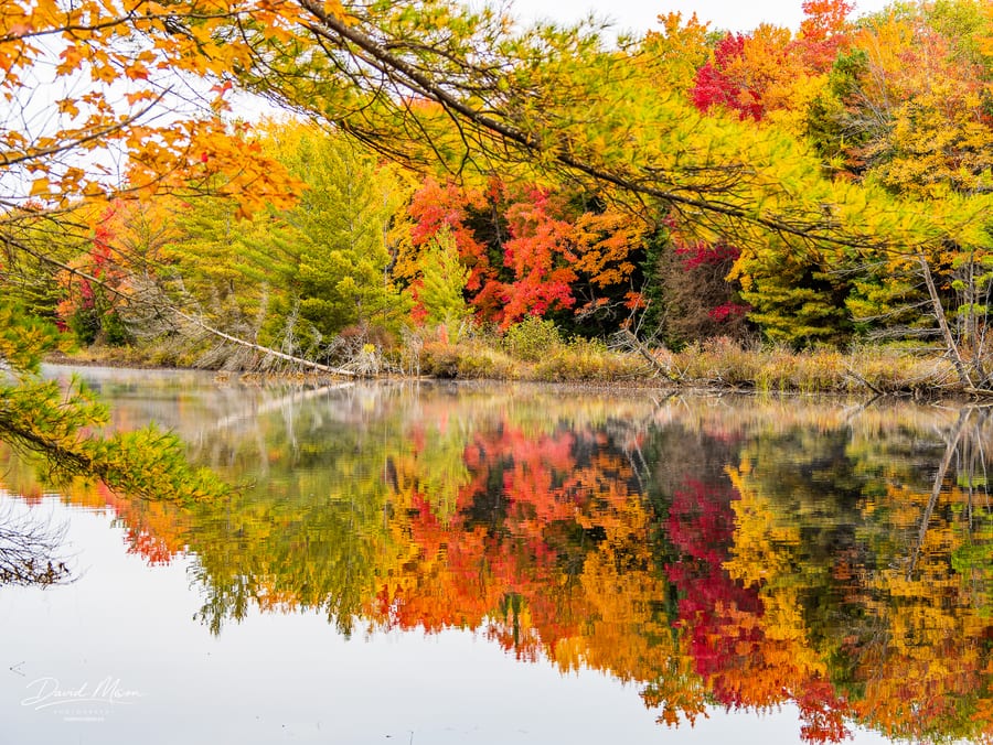 Framed Fall Reflections