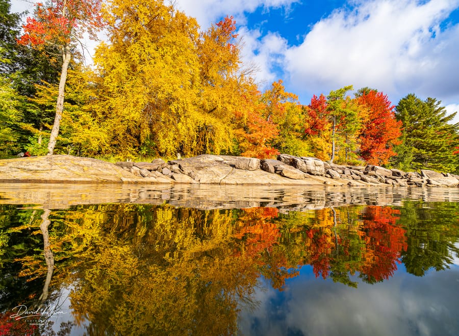 Coqui Island Fall Colours