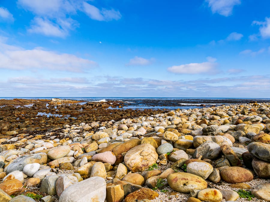 Rocky Cape Coastline