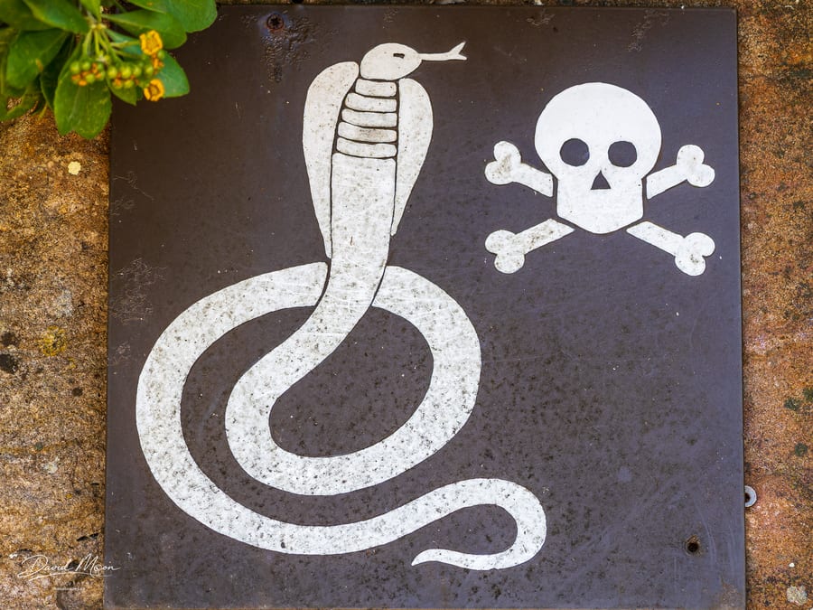 Cobra Warning Sign
