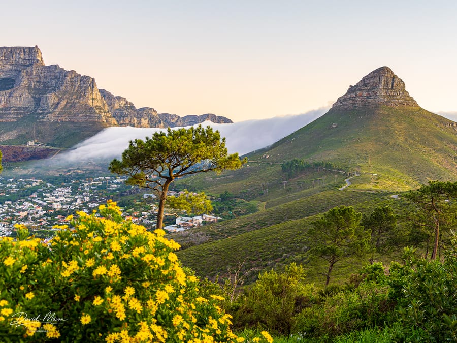 Lion's Head and Table Mountain Cloud
