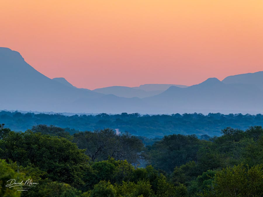 Blue Hour Hills