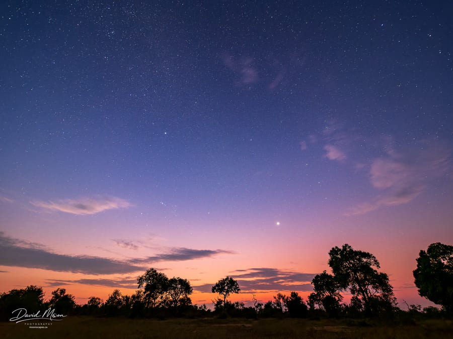 Stars Above Thornybush