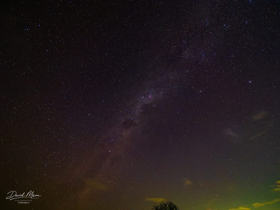 Milky Way Over Thornybush