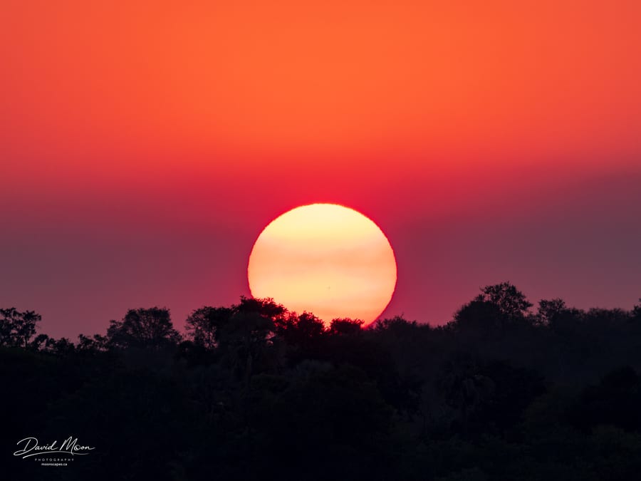 Zambezi Sunset