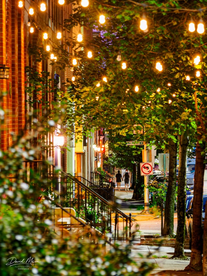 String Lights on Columbia Avenue