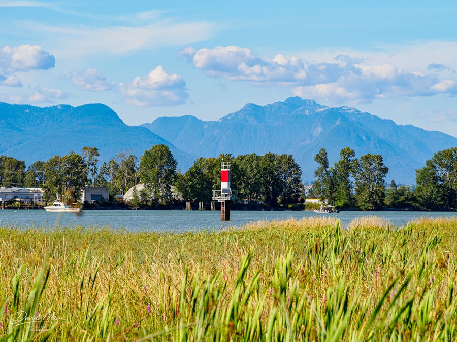 Channel Marker and Mountains