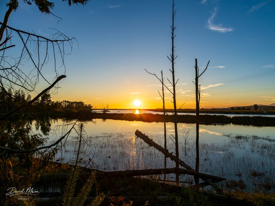 Wetland Sunset