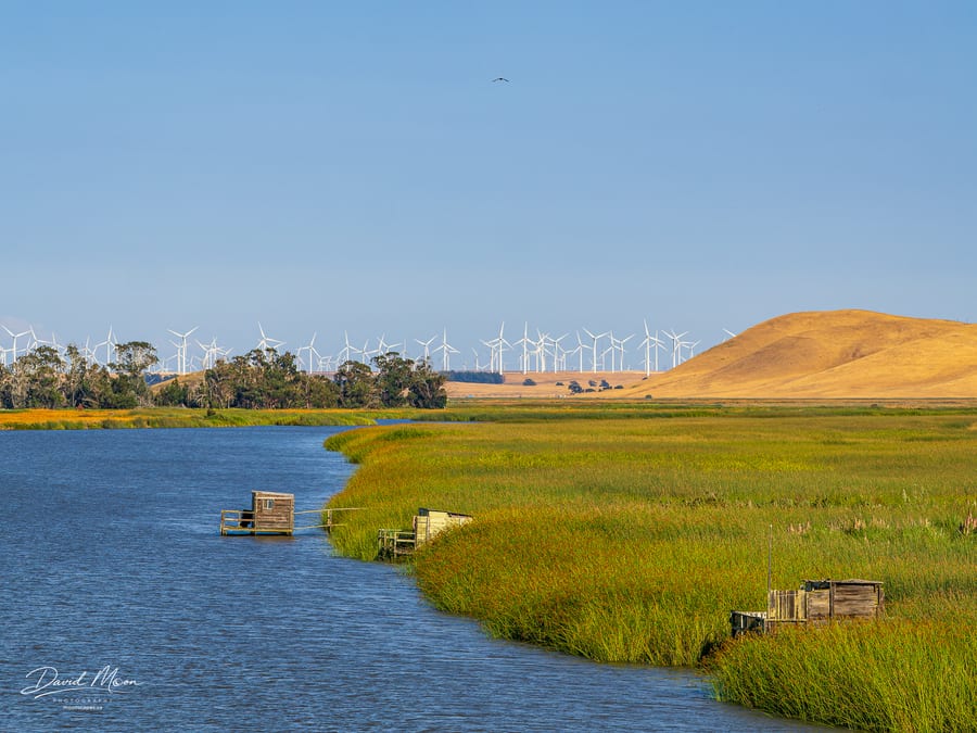 Wind Turbines Beyond the Marsh