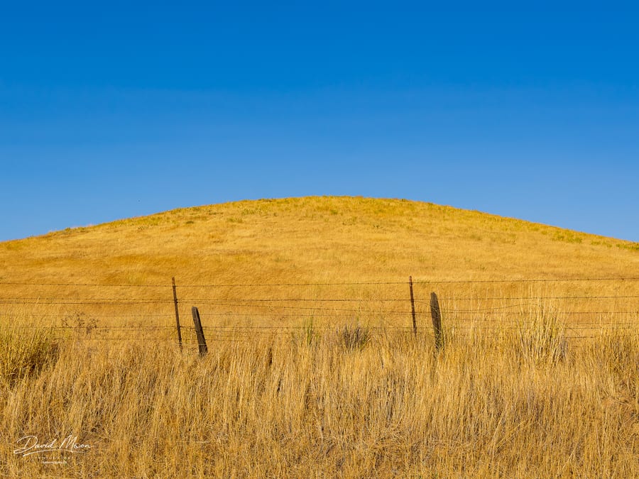 Golden Hill and Blue Sky