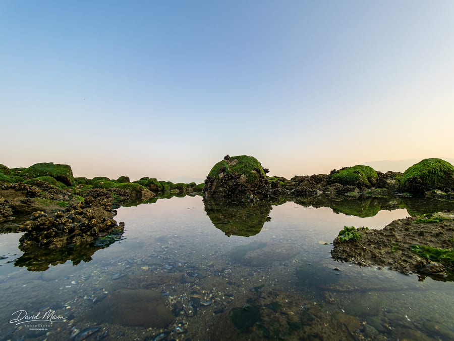 Tide Pool at Low Tide