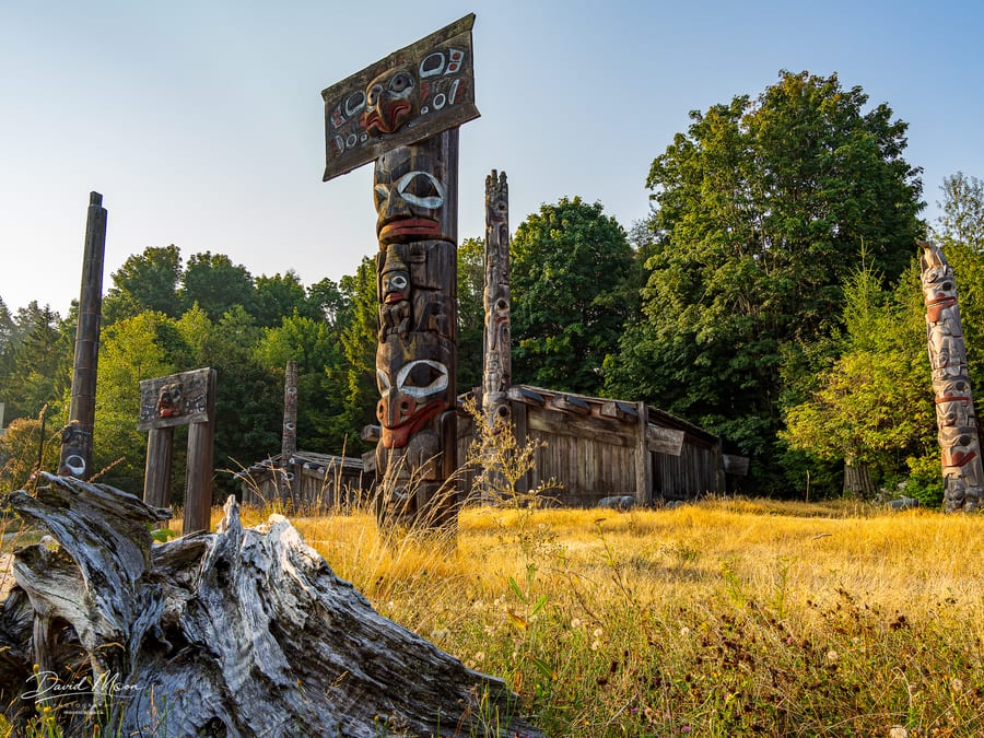 Northwest Coast Longhouse and Carved Poles