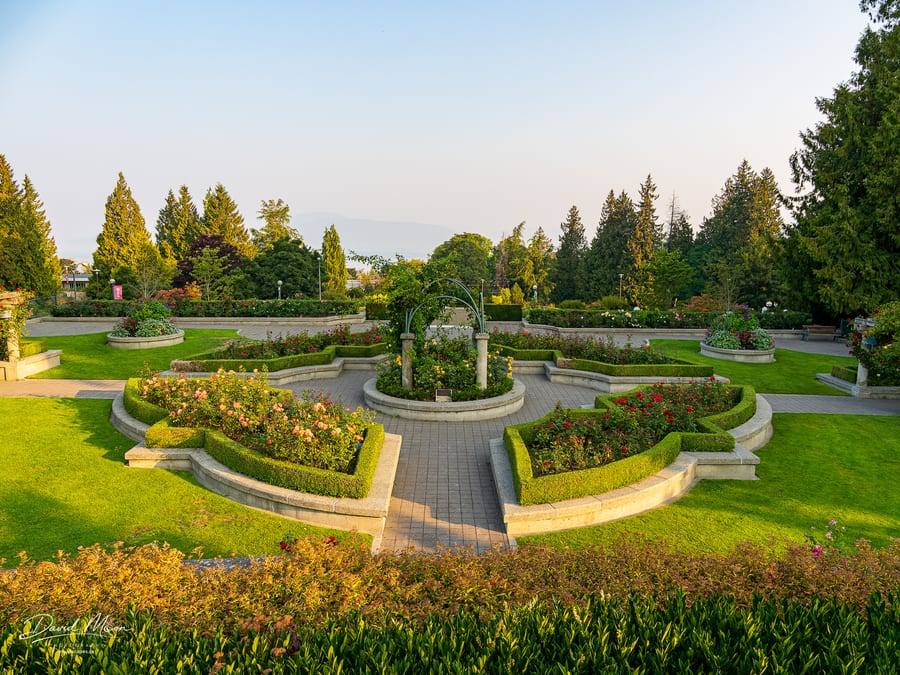 UBC Rose Garden