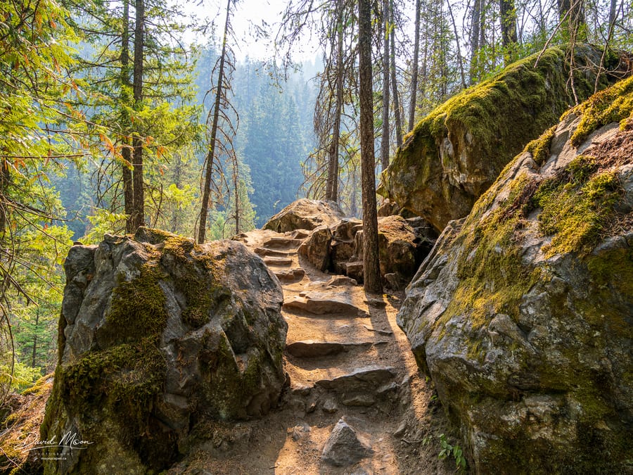 Trail to Nairn Falls
