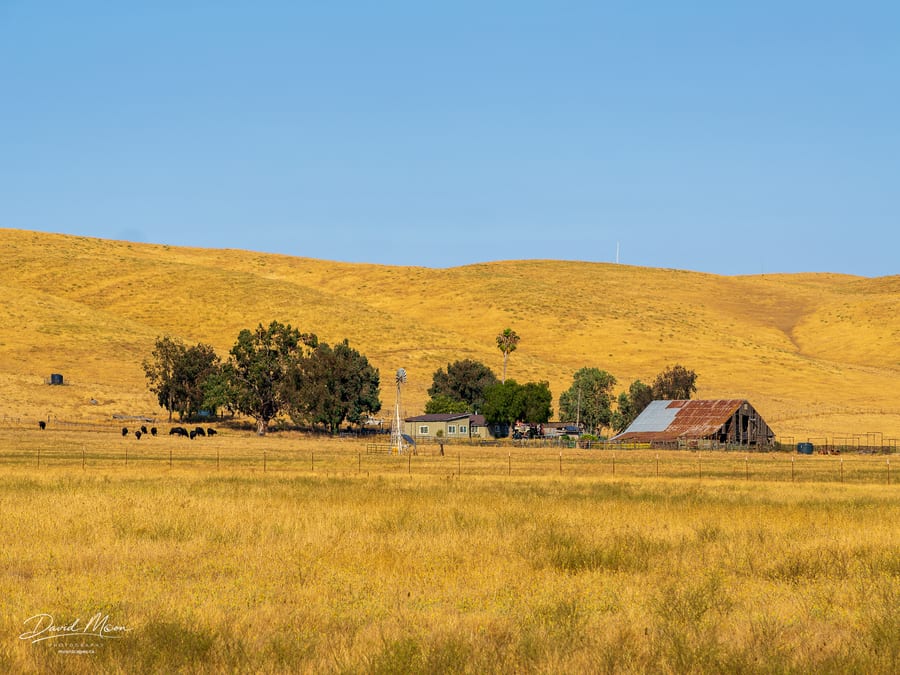 Ranch Beneath the Golden Hills