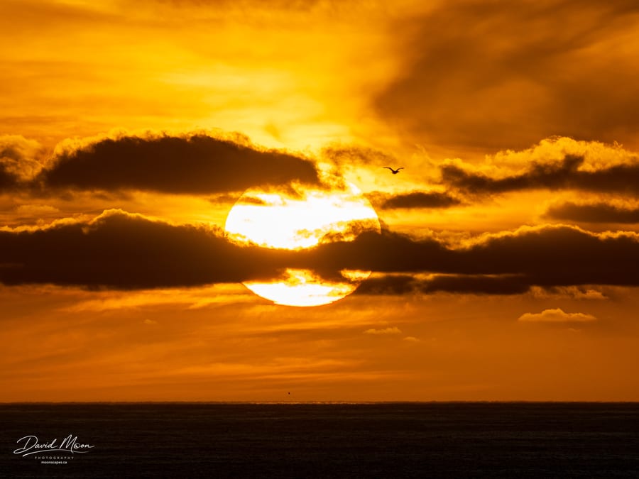 South African Sunset
