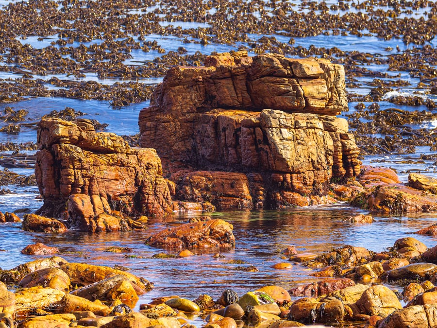 Cape Peninsula Coast