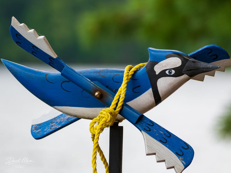 Blue Jay Whirligig