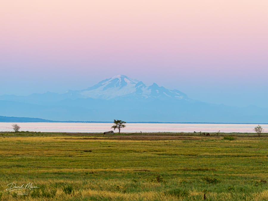 Distant Mount Baker