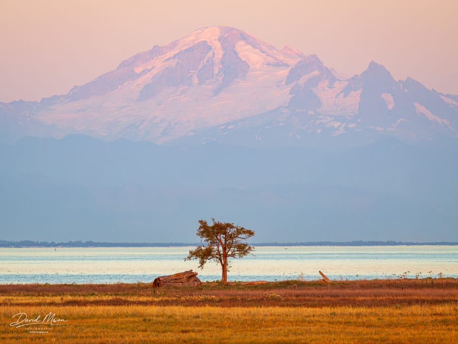 Mount Baker at Dusk