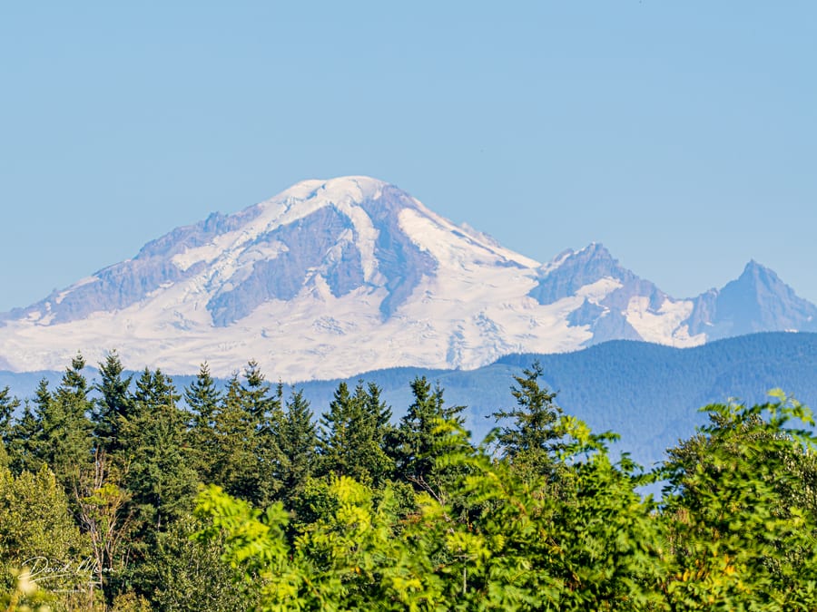 Mount Baker Beyond the Forest