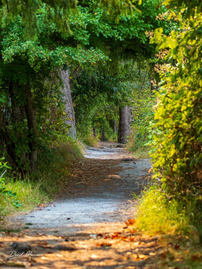Woodland Trail