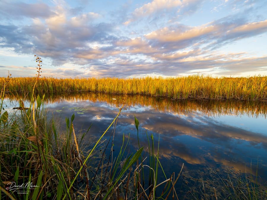 Clouds Reflected in the Wetland