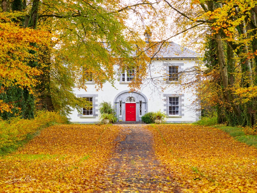 Red Door in Autumn