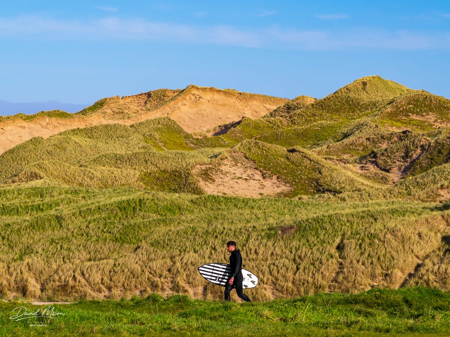 Surfer Among the Dunes