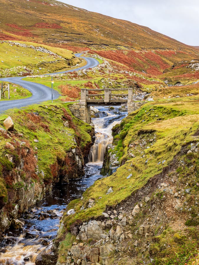 Bridge over the Mountain Stream