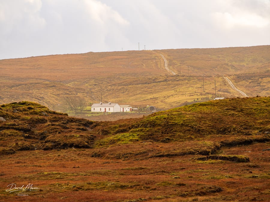 White Cottage on the Moor