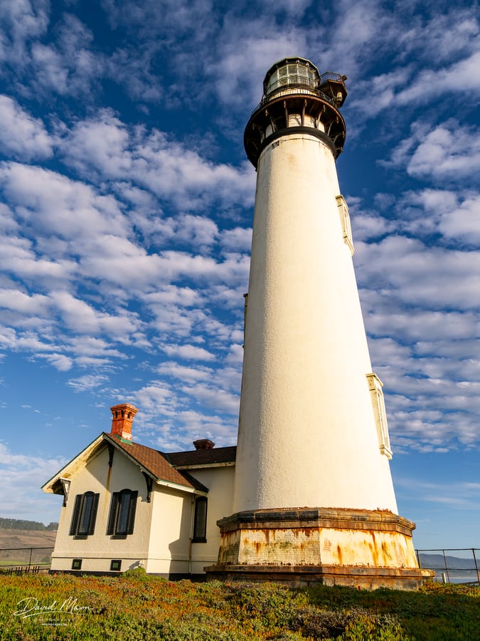 Beneath Pigeon Point Lighthouse