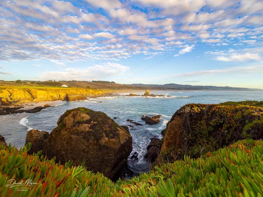 Golden Coast at Pigeon Point