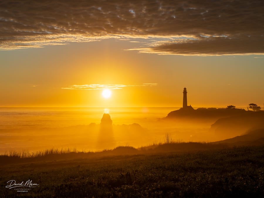 Golden Sunset at Pigeon Point Lighthouse