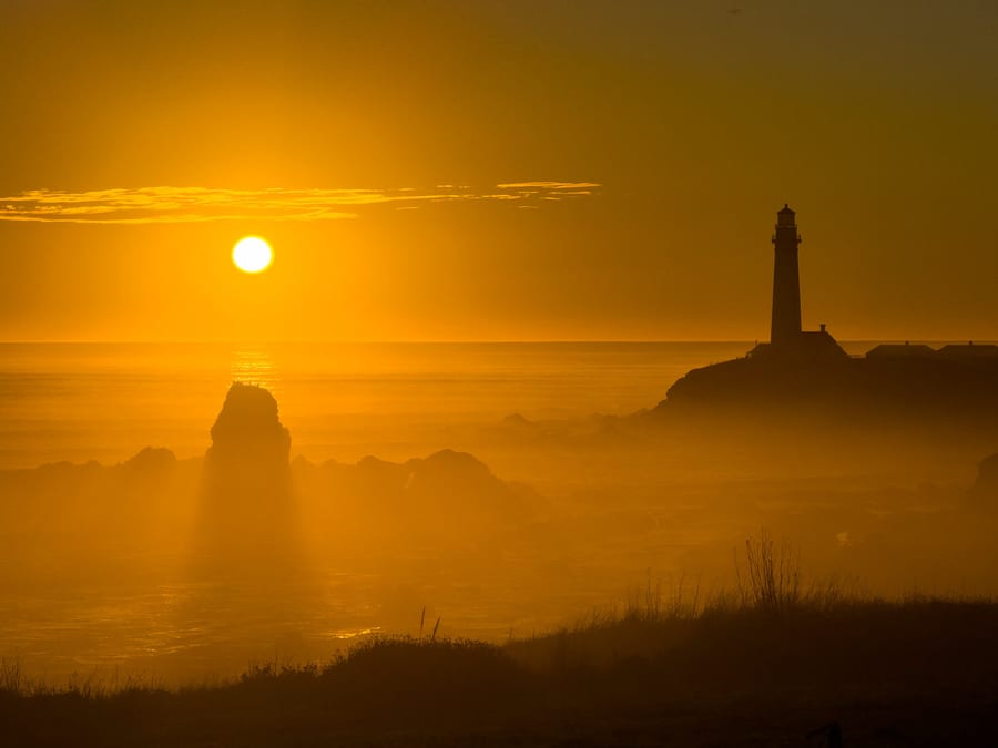 Pigeon Point Lighthouse in Golden Haze