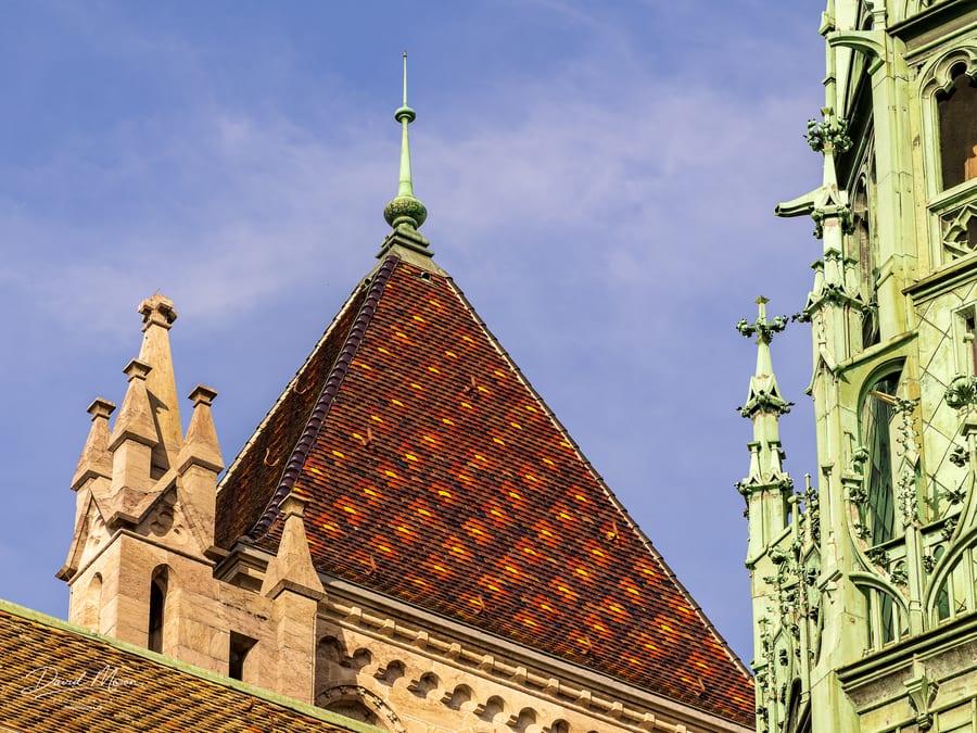Tiled Roof of Saint-Pierre Cathedral